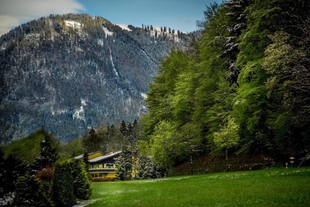 Hotel Garni Zeranka Ruhpolding Exterior photo